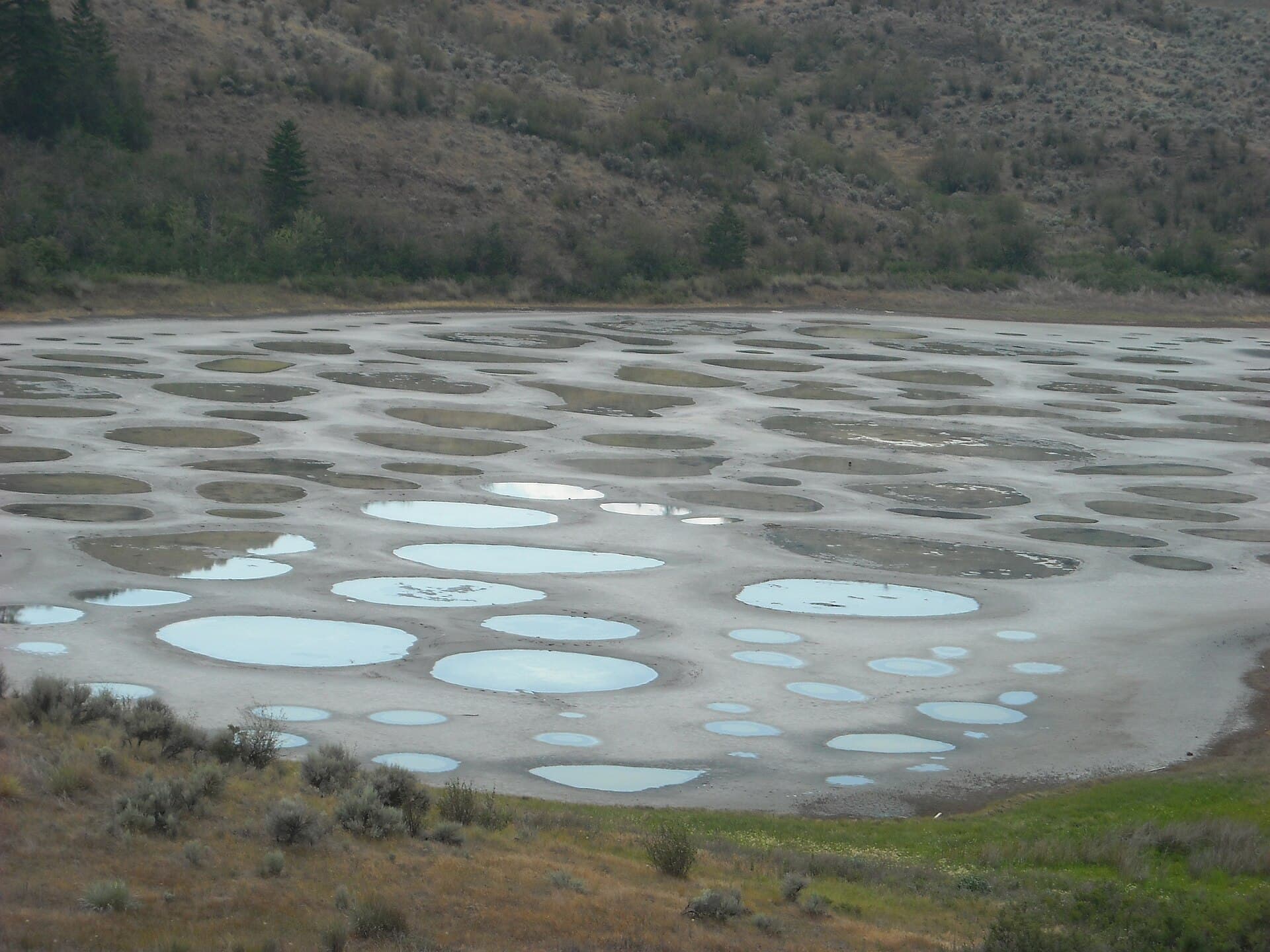 Spotted Lake: British Columbia’s Striking Mineral Phenomenon