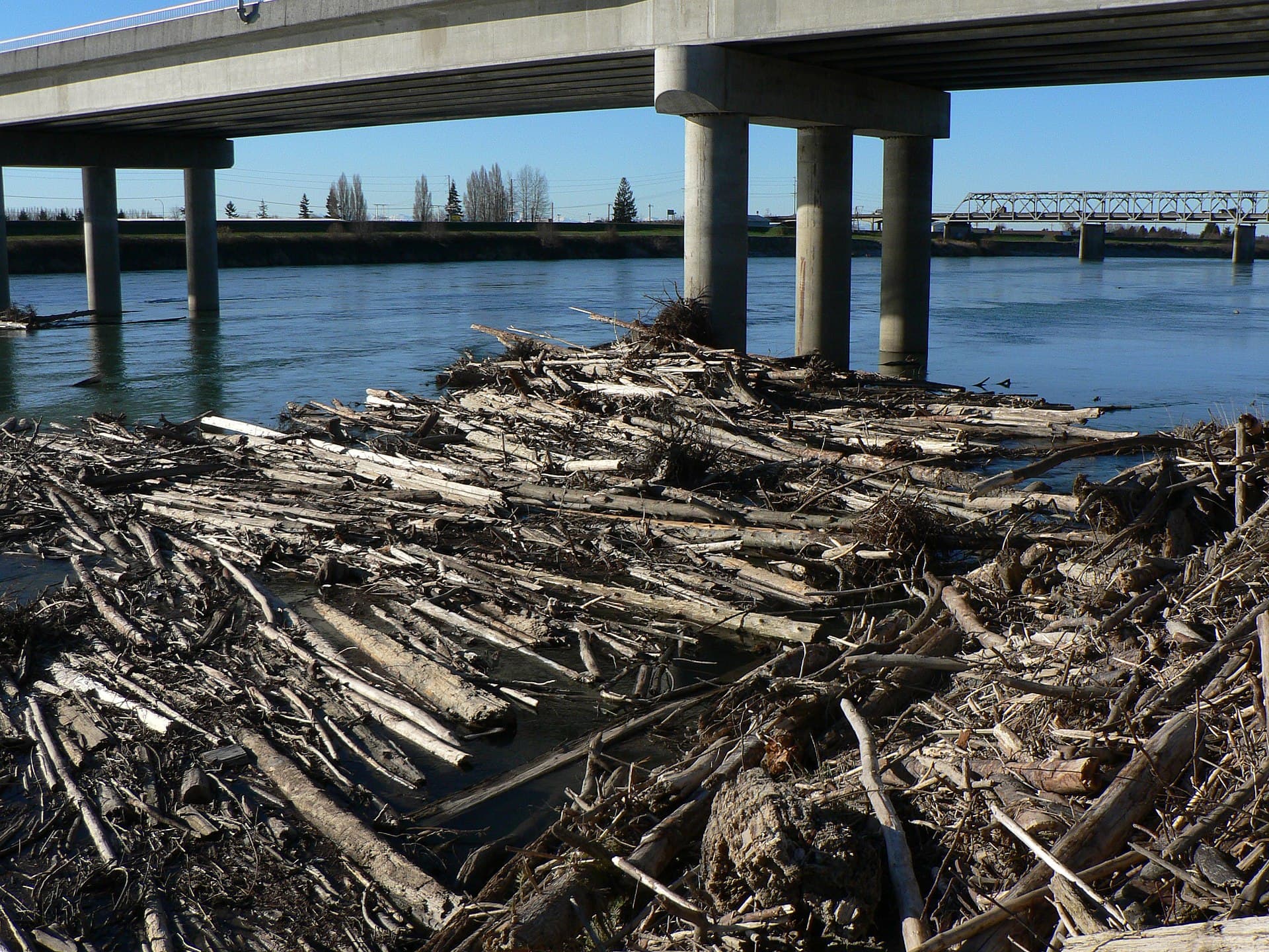 Skagit River: Fishing, Hiking and Wild Beauty in British Columbia