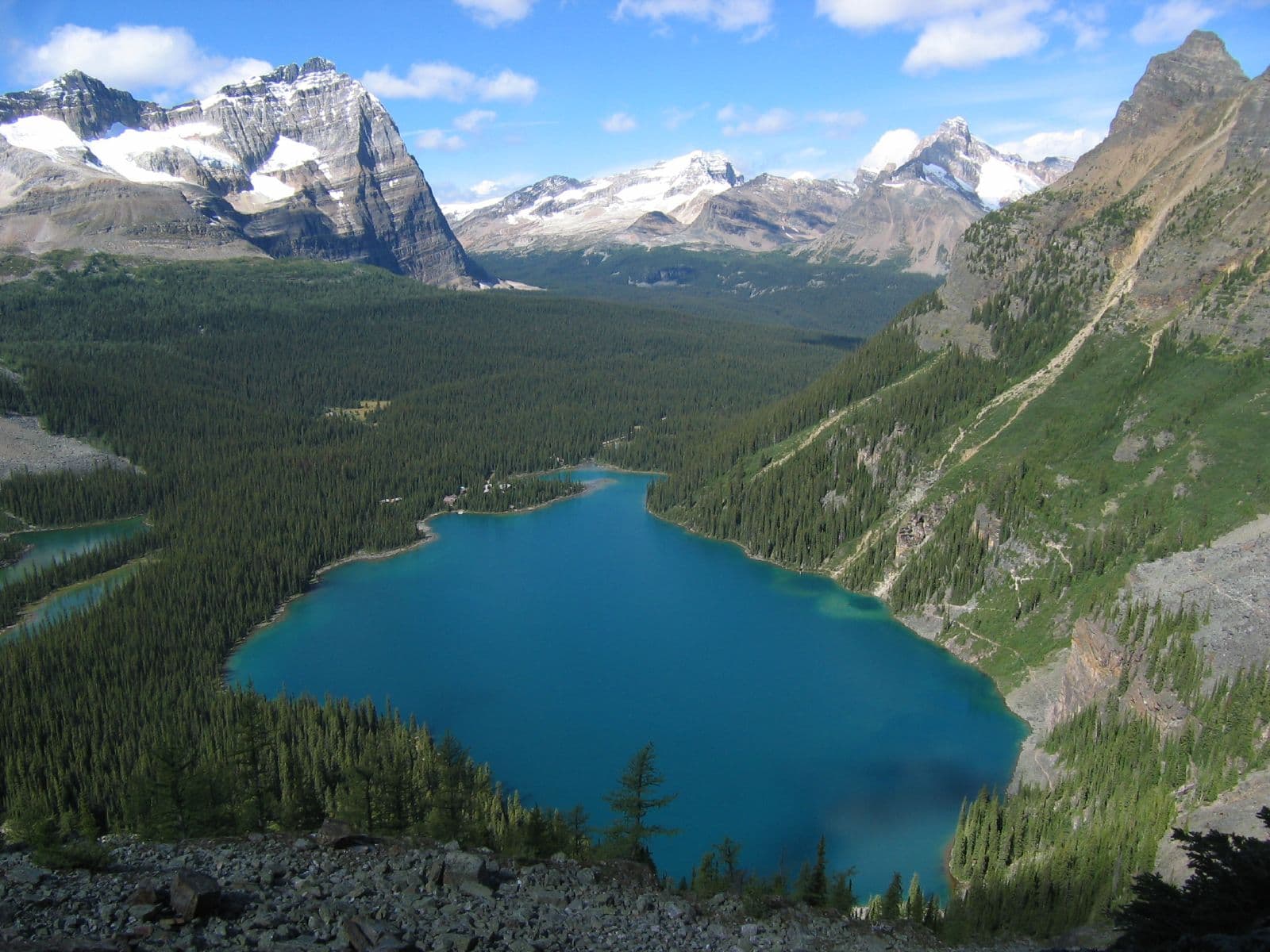 Lake O’Hara: Alpine Wilderness in Yoho National Park