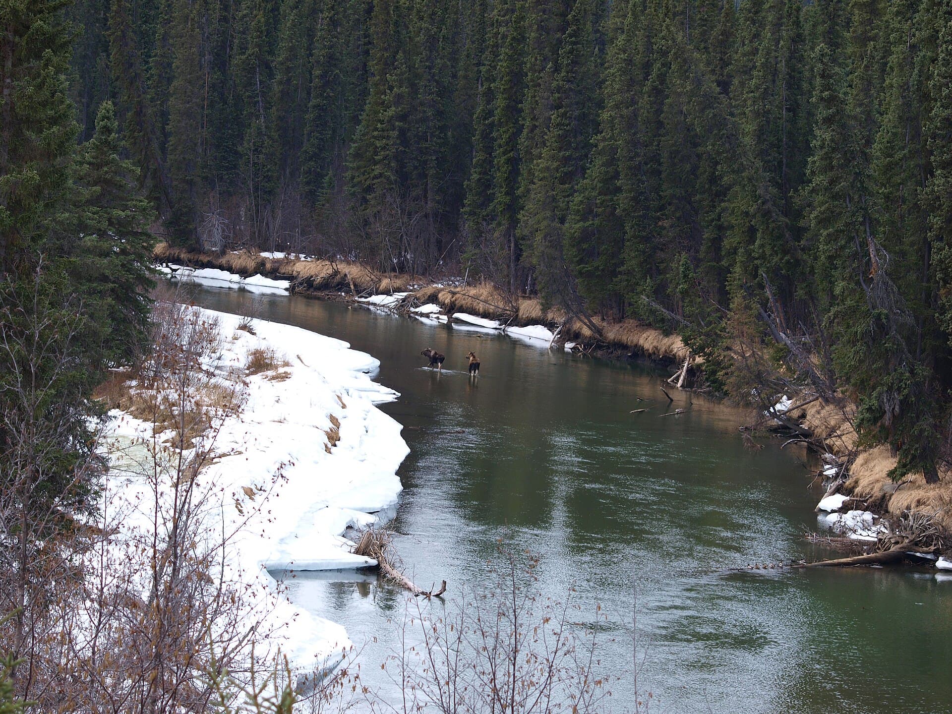 Dease River: Wilderness Fishing and Canoeing in Northern British Columbia