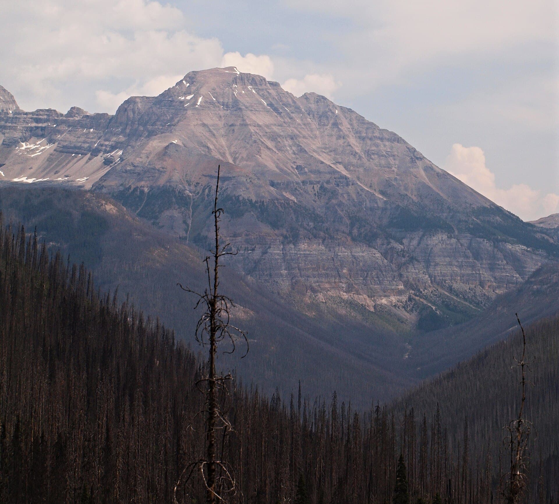 Isabelle Peak: Hiking the Remote Alpine Summit in Kootenay National Park
