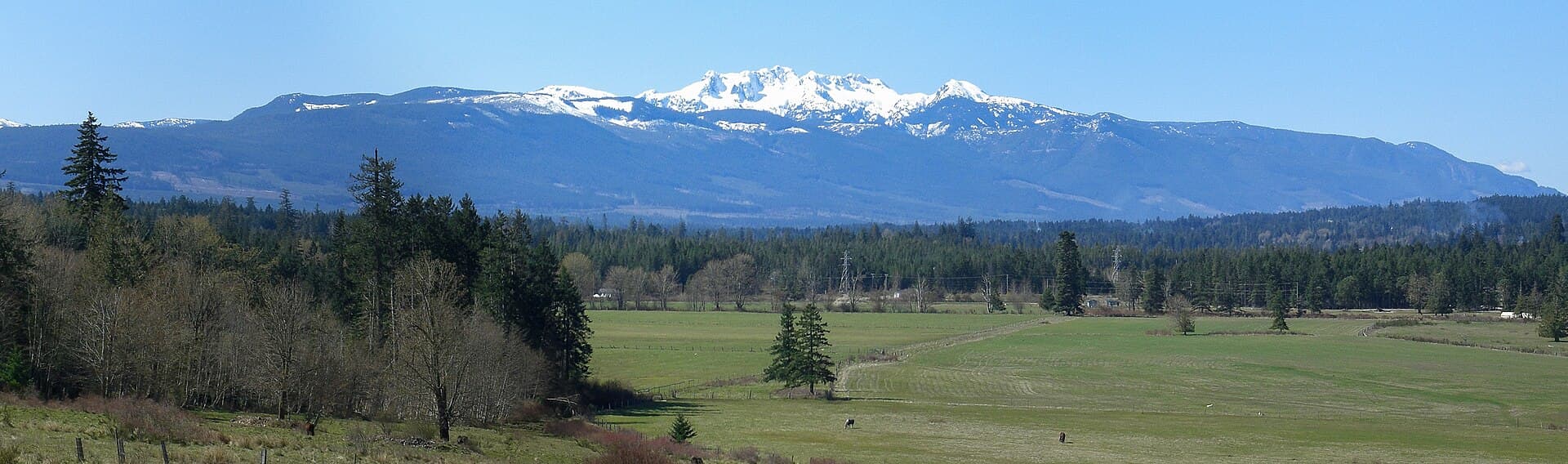 Mount Arrowsmith: Hiking Vancouver Island’s Signature Peak
