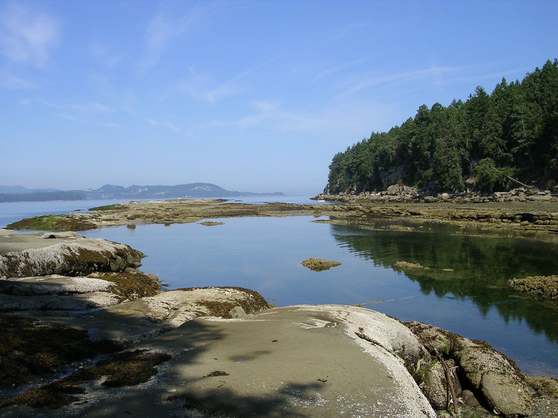 Gabriola Island: Artistic Shores and Quiet Trails in British Columbia’s Gulf Islands