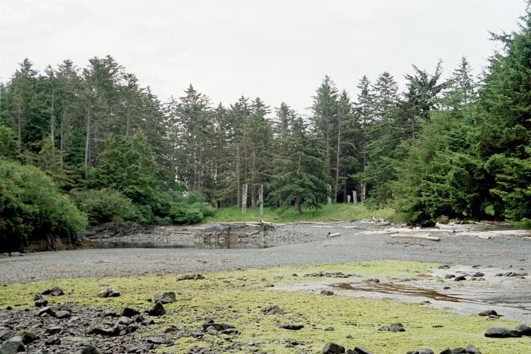 Anthony Island: Exploring SG̲ang Gwaay and Haida Heritage in Remote Haida Gwaii
