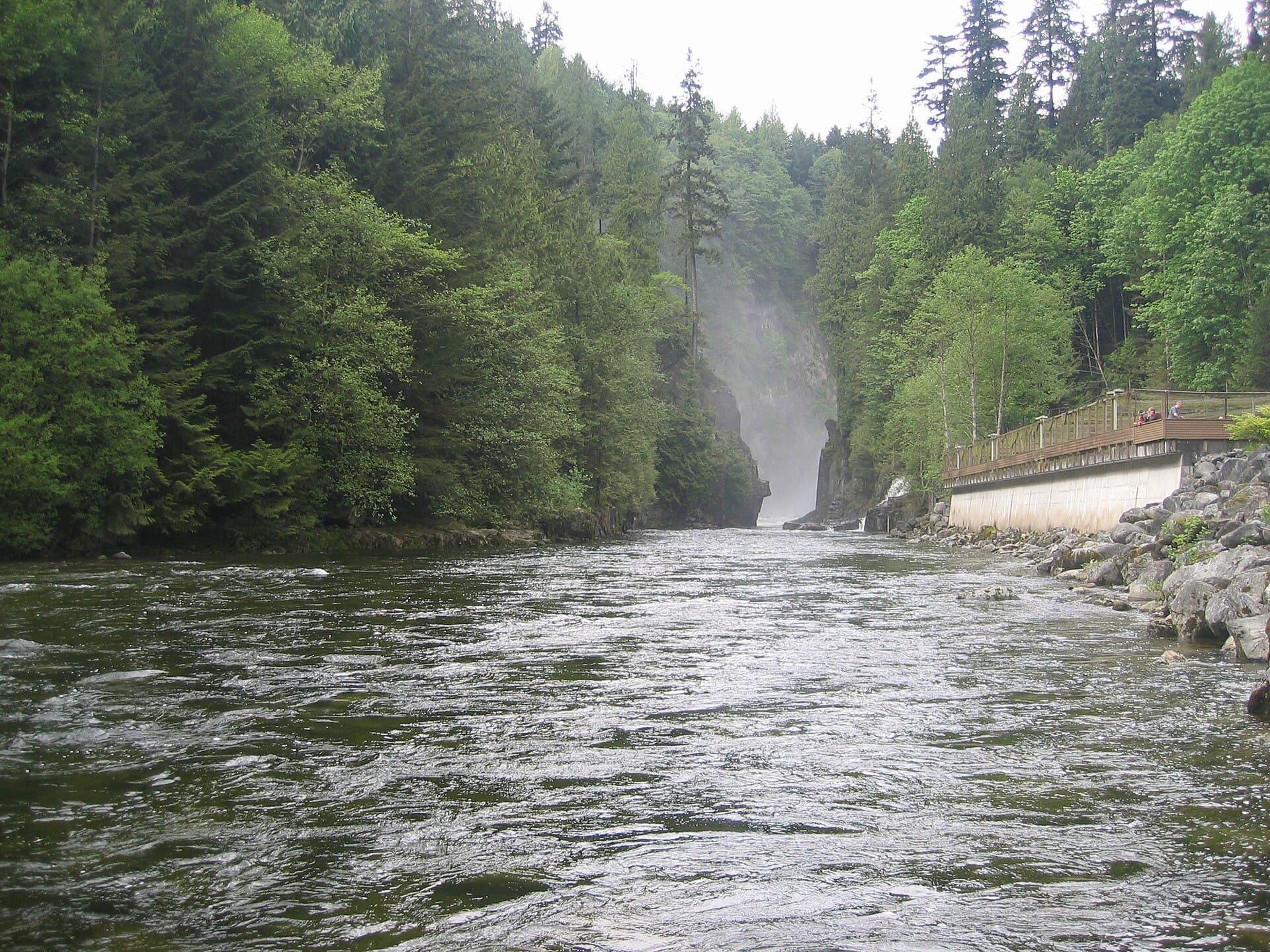 Capilano River: Trails, Canyons and Salmon Runs Near Vancouver