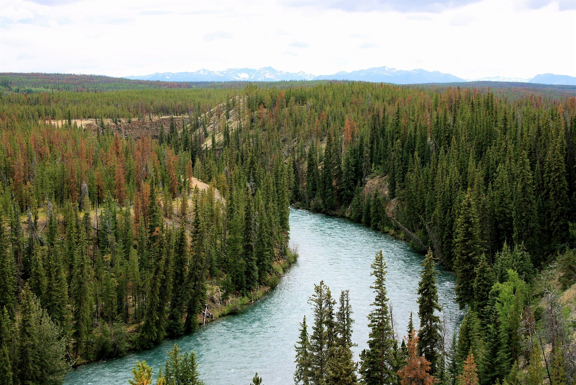 Chilko River: World-Class Rafting and Wilderness in British Columbia