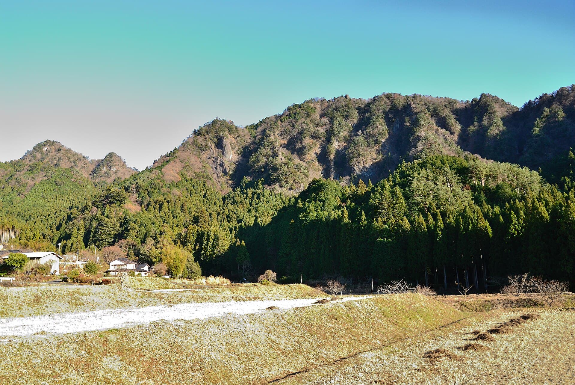 Mount Iwakoya: Hiking the Quiet Forests of Shitara