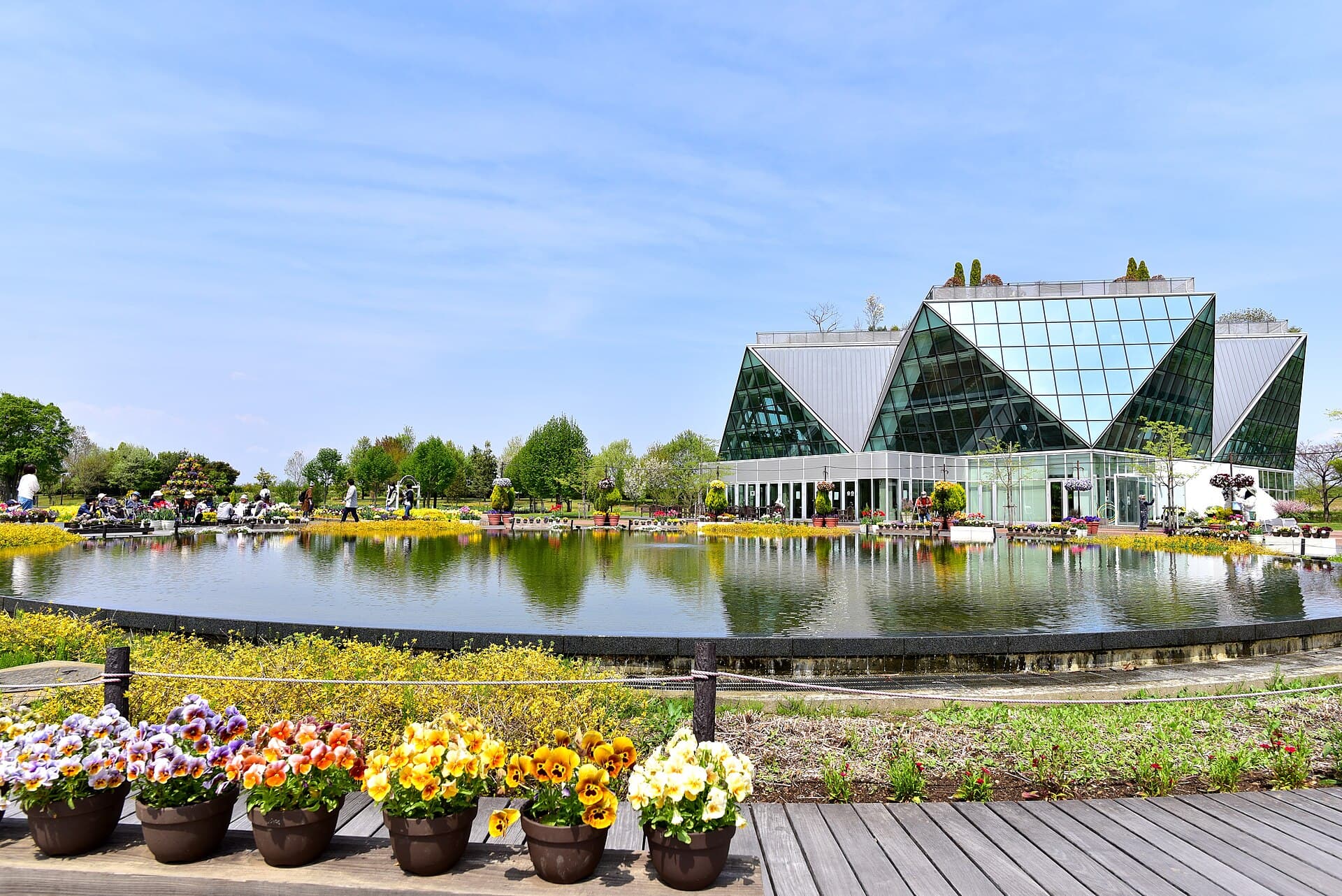 Flower Park Kōnan: Seasonal Blooms in Aichi’s Quiet Countryside