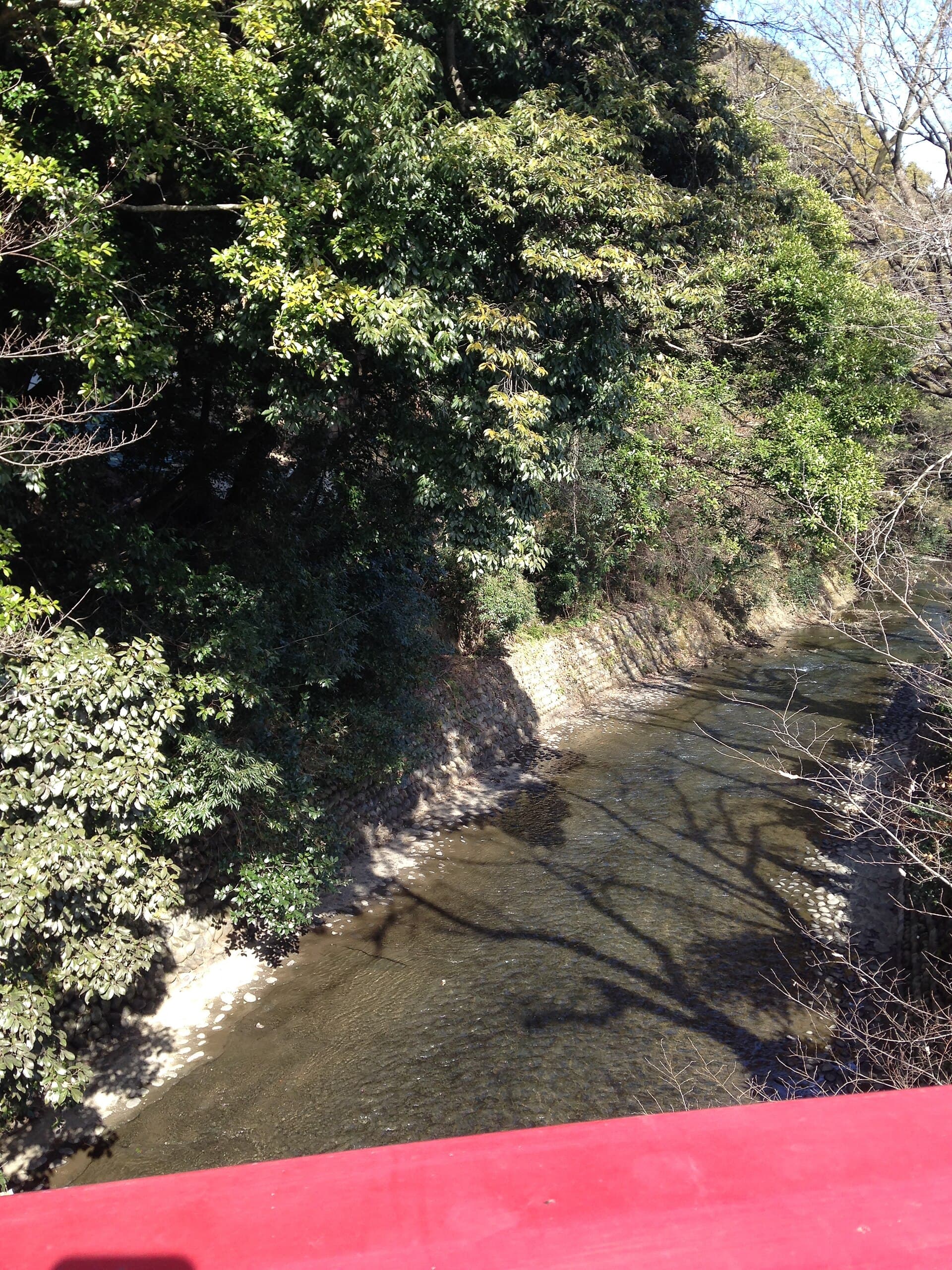 Gōse River: Tranquil Waters and Castle Views in Inuyama