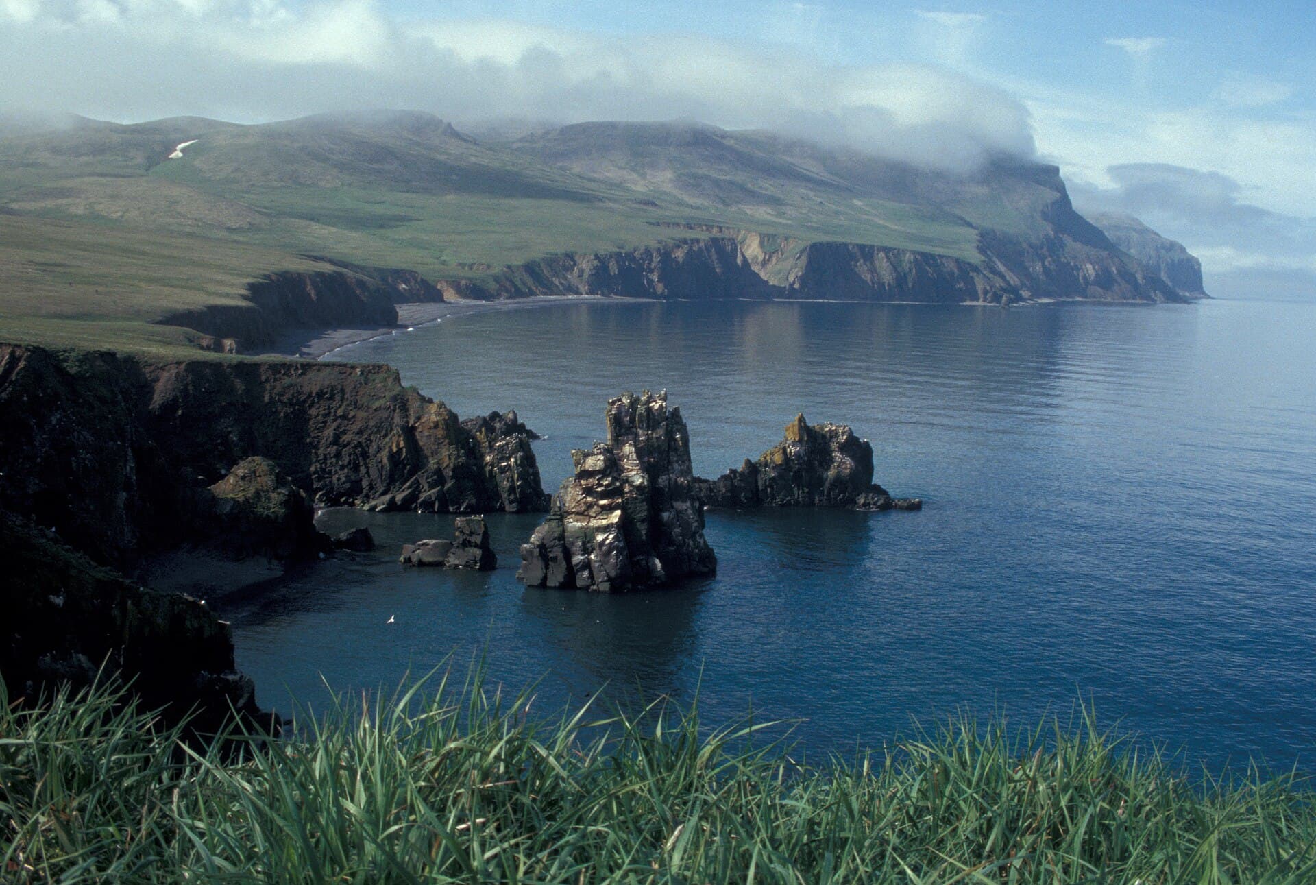 Hall Island, Alaska: Remote Bering Sea Wilderness