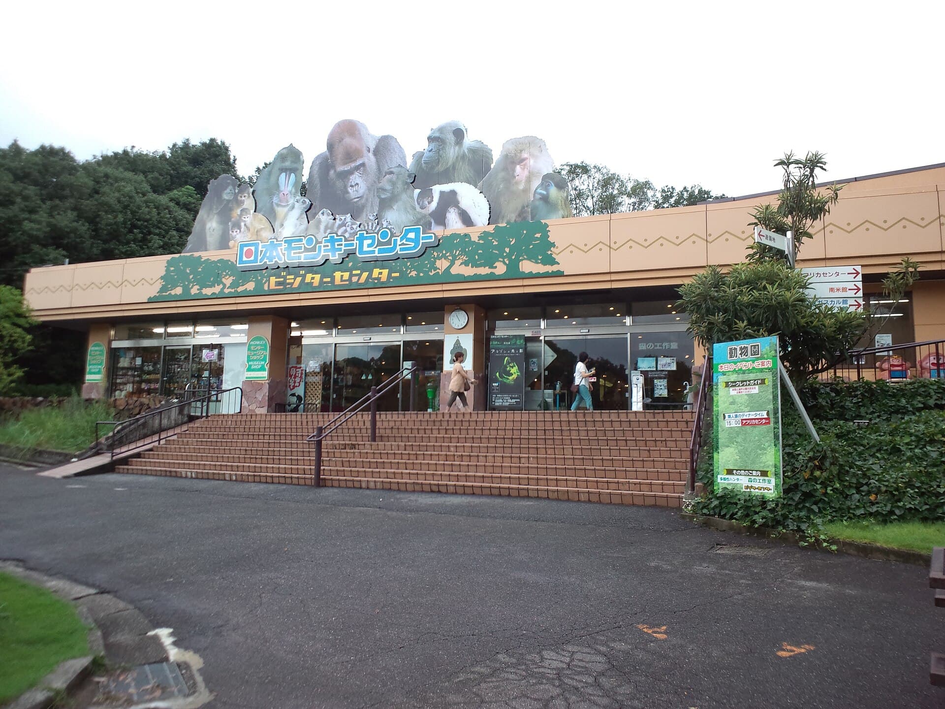 Japan Monkey Center: Primate Paradise in Inuyama, Aichi