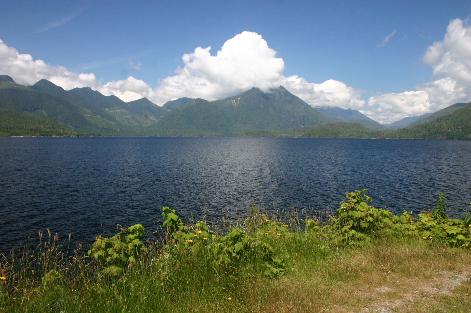 Kennedy Lake: Vancouver Island’s Largest Lake in Clayoquot Sound