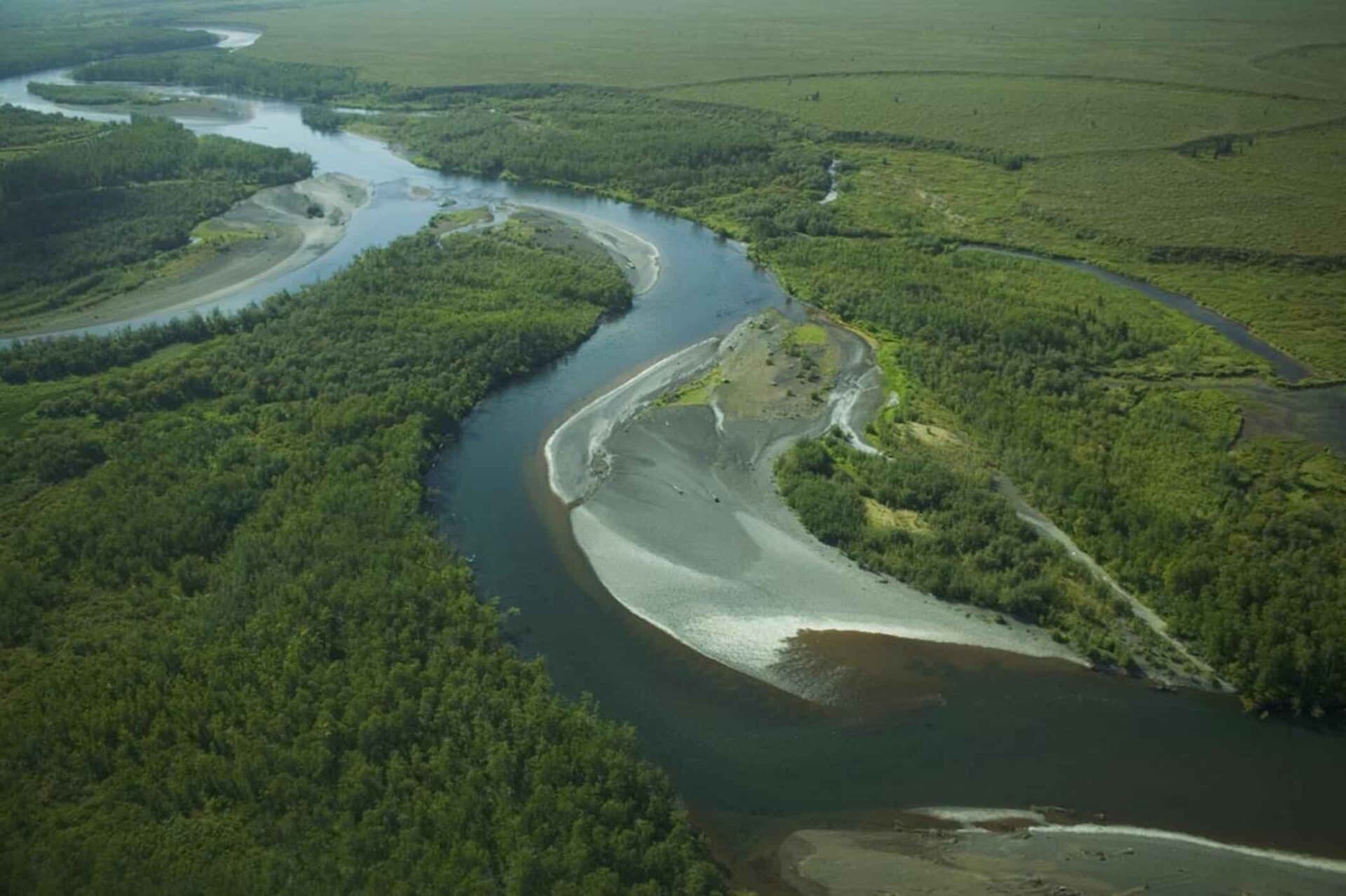 Togiak River: Remote Alaska Wilderness Fishing in Bristol Bay