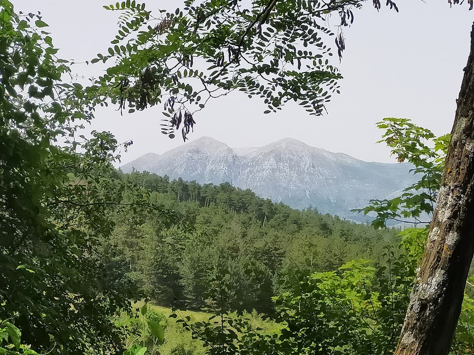 Mount Salviano Guided Nature Reserve: Hiking Trails and Wildlife in Abruzzo