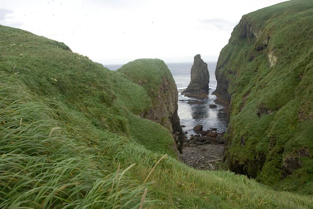 Aiktak Island: A Remote Seabird Haven in Alaska’s Aleutian Chain