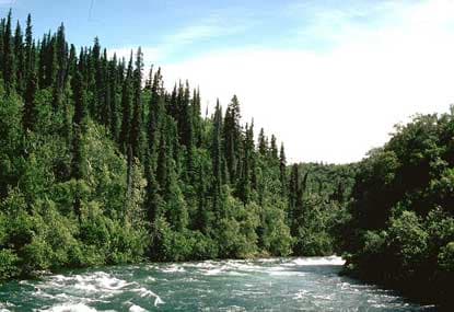 Alagnak River: Rafting, Fishing, and Wildlife in Alaska’s Remote Wilderness