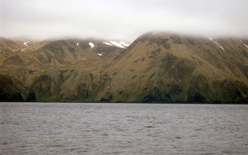 Amatignak Island: A Remote Wilderness Haven in Alaska’s Aleutian Chain
