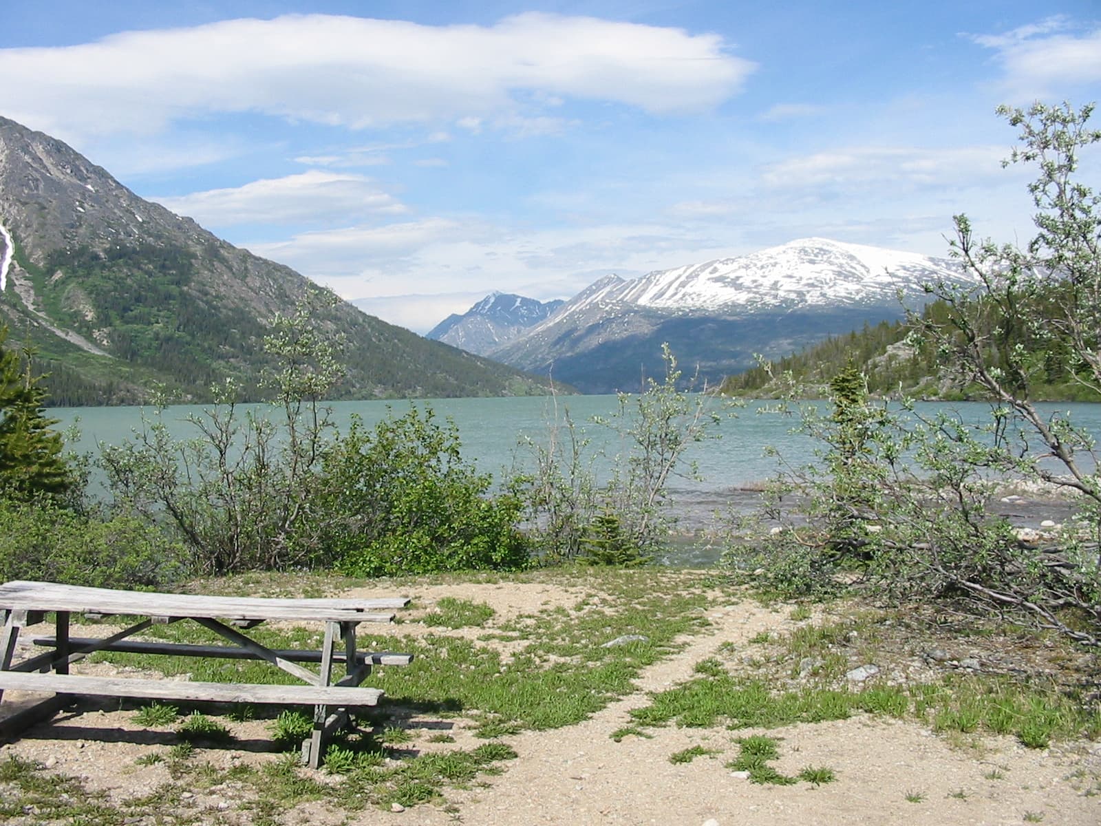 Lindeman Lake: Turquoise Waters and Wilderness Trails in Northern British Columbia