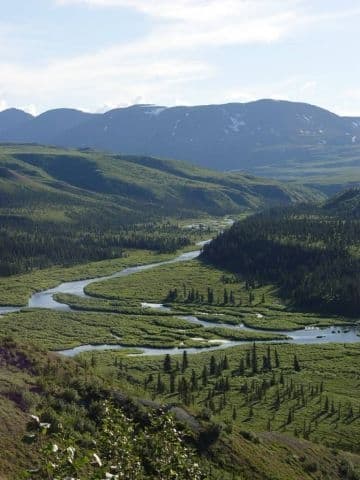 Delta River, Alaska: Wilderness Rafting and Fishing Along a Glacial Highway