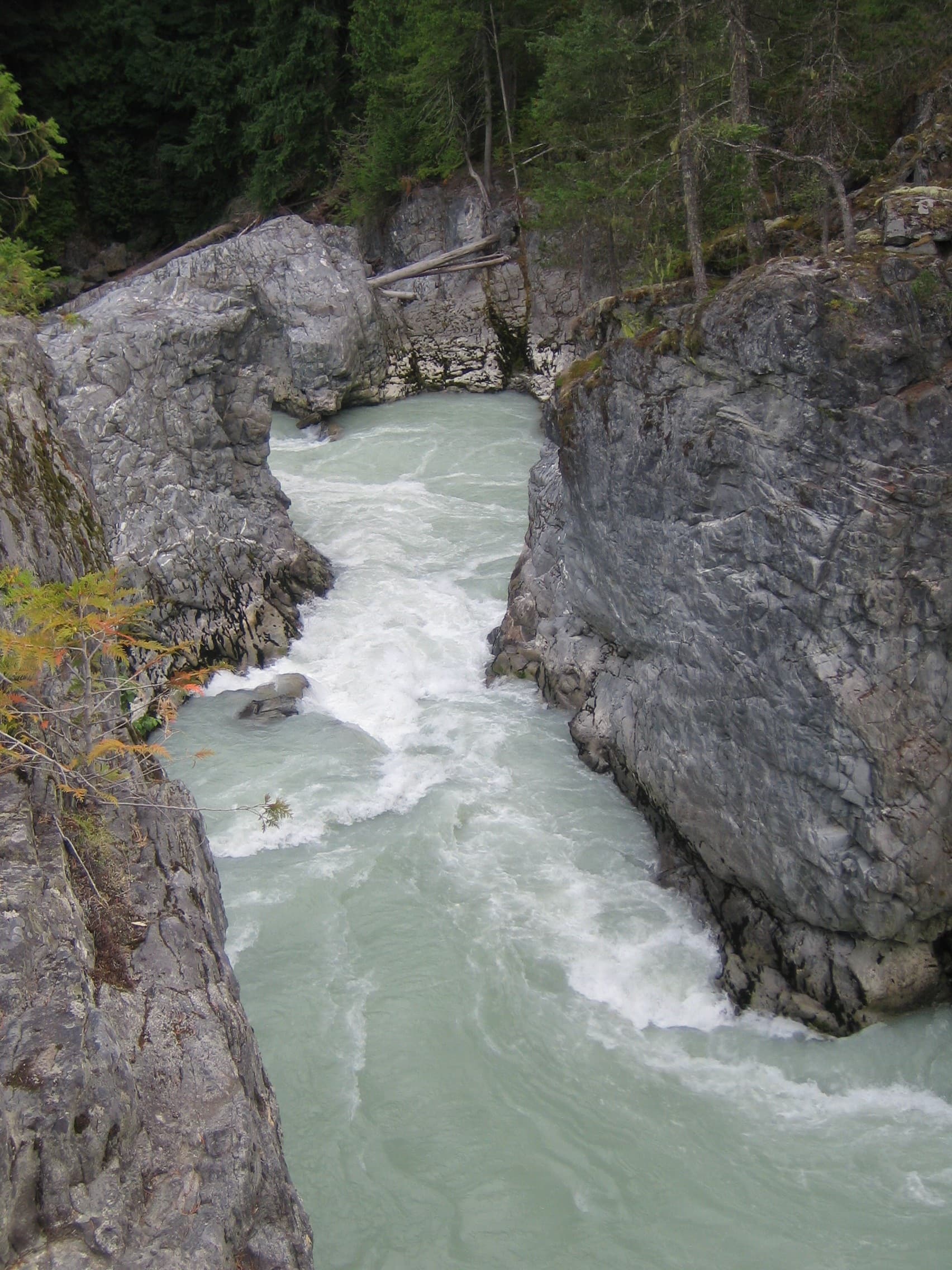 Green River: Rafting Wilderness Waterways Near Whistler