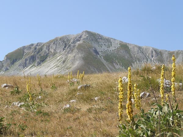 Monte della Scindarella: Hiking the Gran Sasso’s Wild Summit in Abruzzo