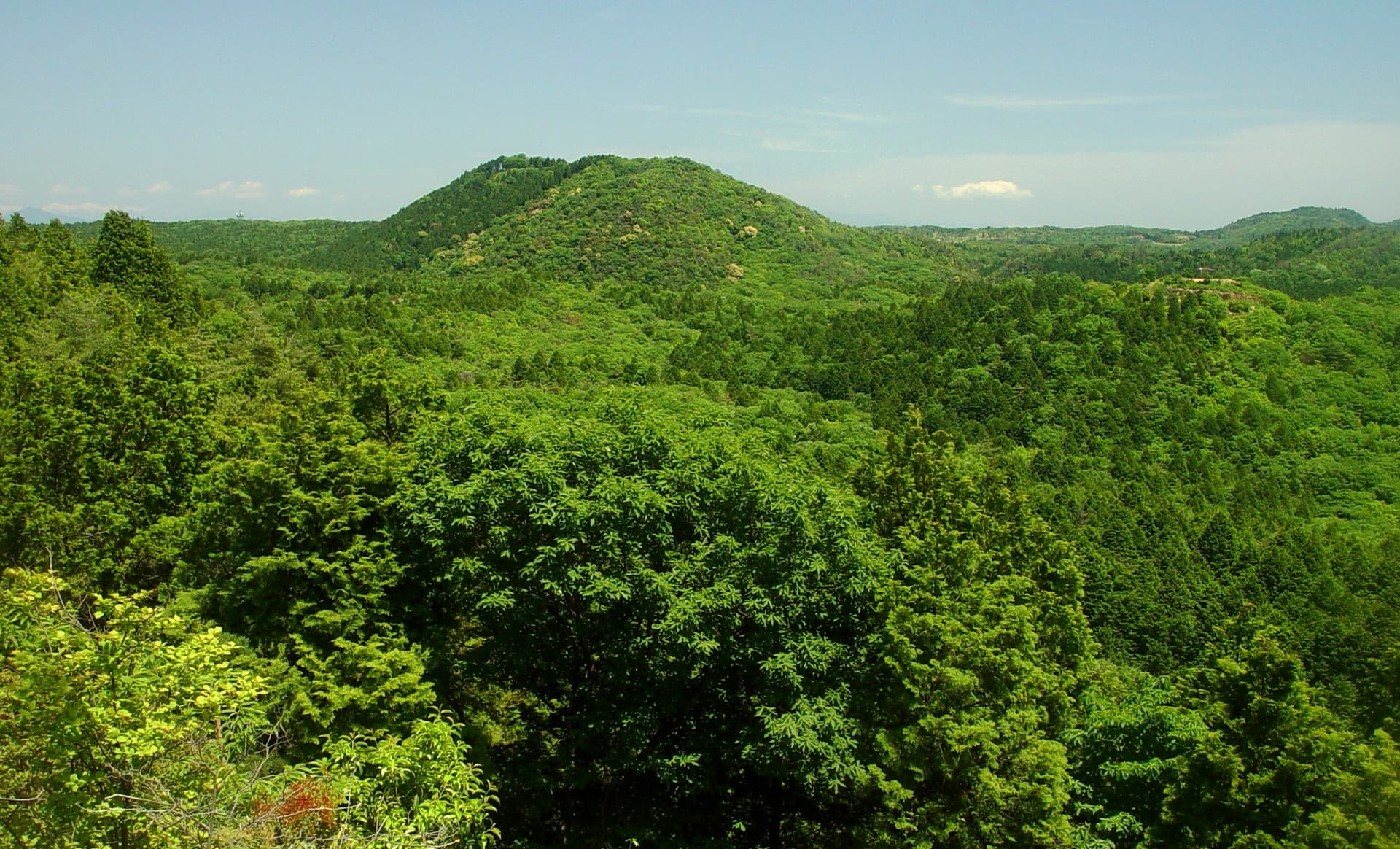 Mount Hasso: Hiking Trails and Panoramic Views Near Inuyama Castle