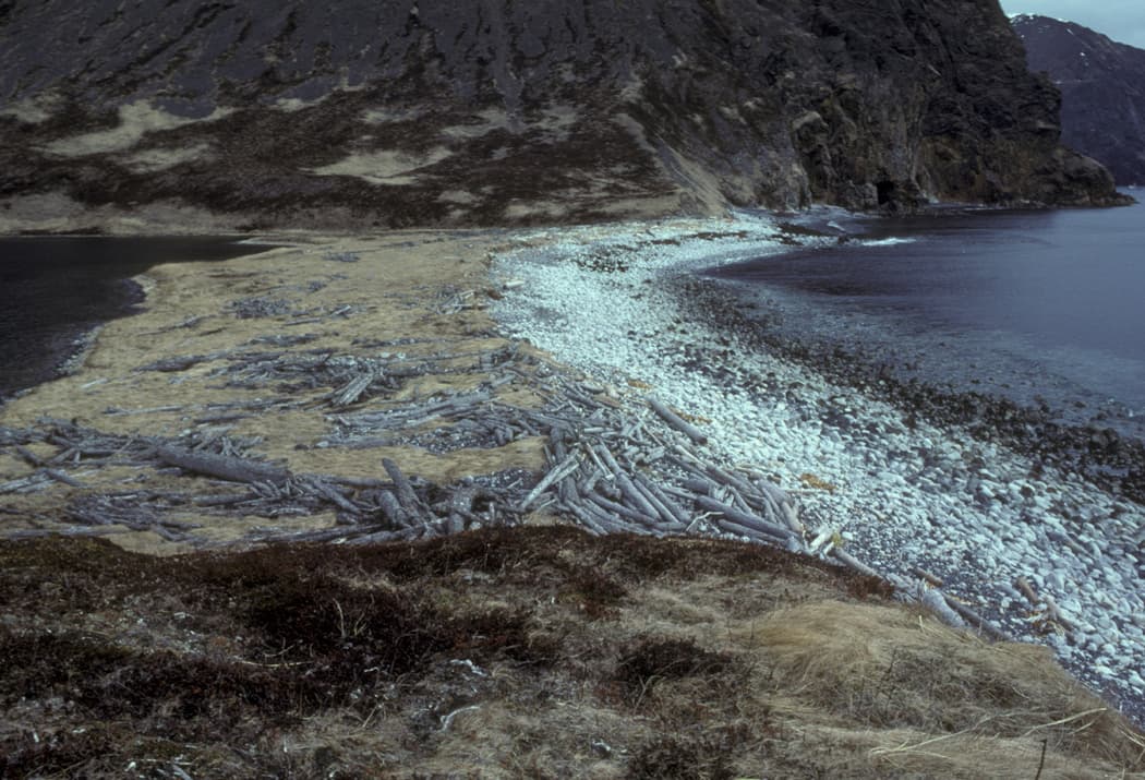 Nagai Island, Alaska: Wilderness Adventures in the Remote Shumagin Islands