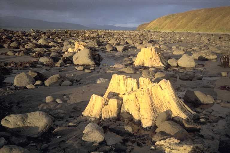 Unga Island: Remote Wilderness and Ghost Towns in Alaska’s Shumagin Islands
