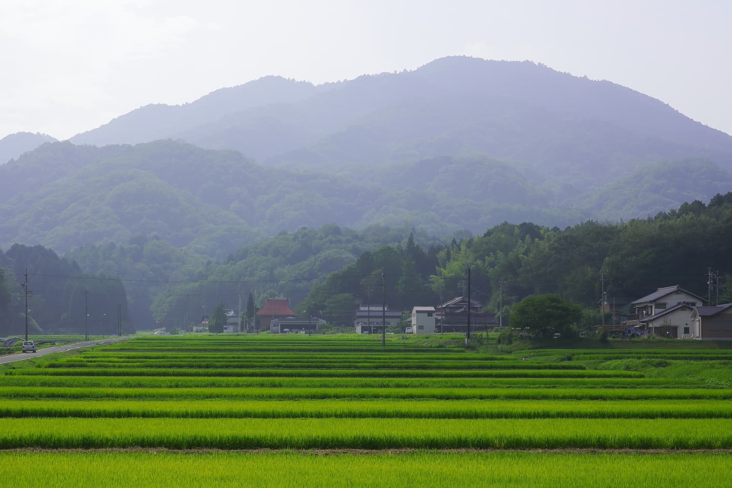 Mount Sanage: Hiking Aichi’s Forested Peak Near Toyota