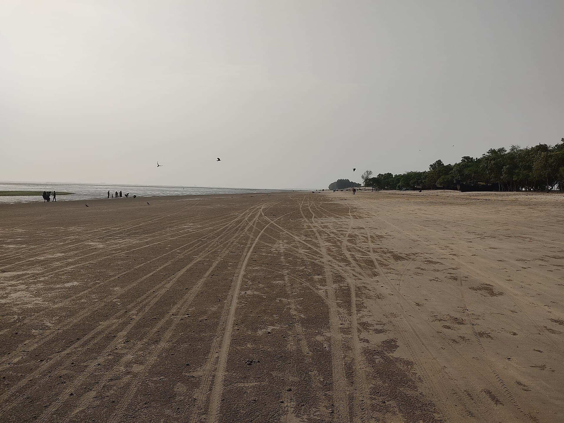 Banshkhali Sea Beach: A Quiet Coastal Retreat in Southeastern Bangladesh