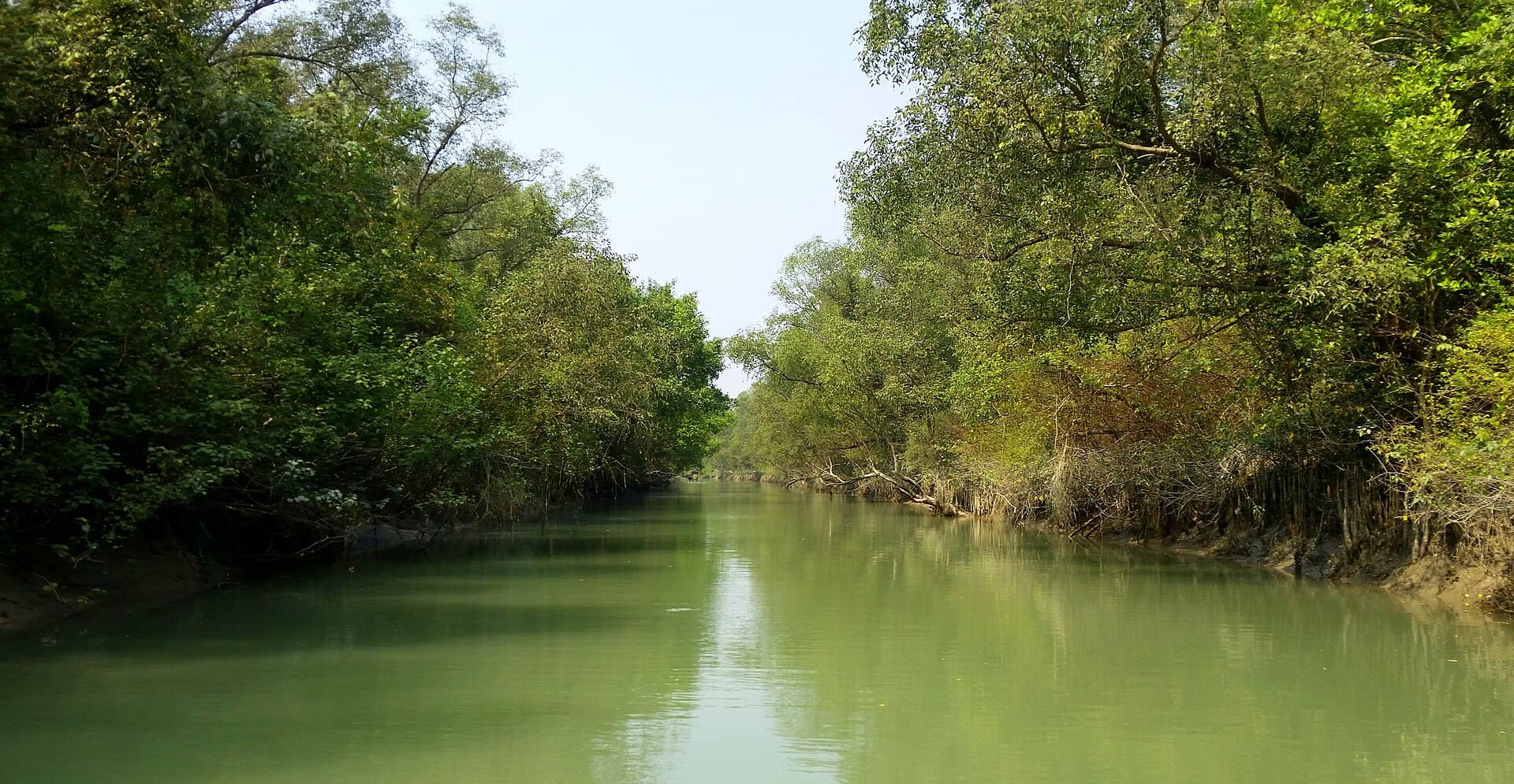 Kukri Mukri: Exploring Bangladesh’s Remote Coastal Island