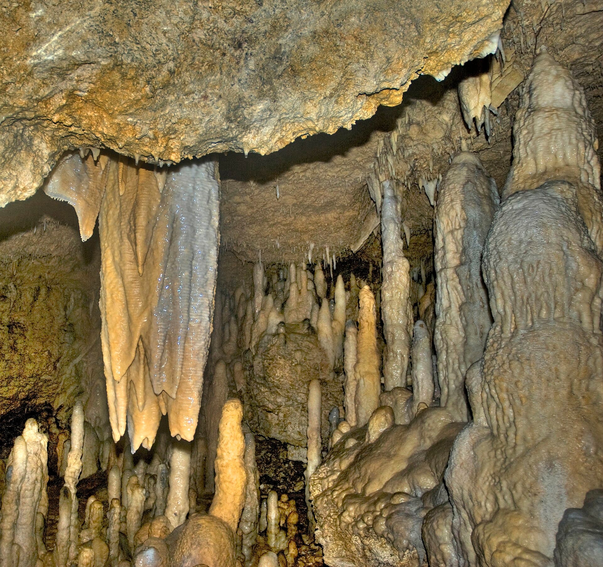 Harrison’s Cave: Barbados’ Dramatic Limestone Underworld