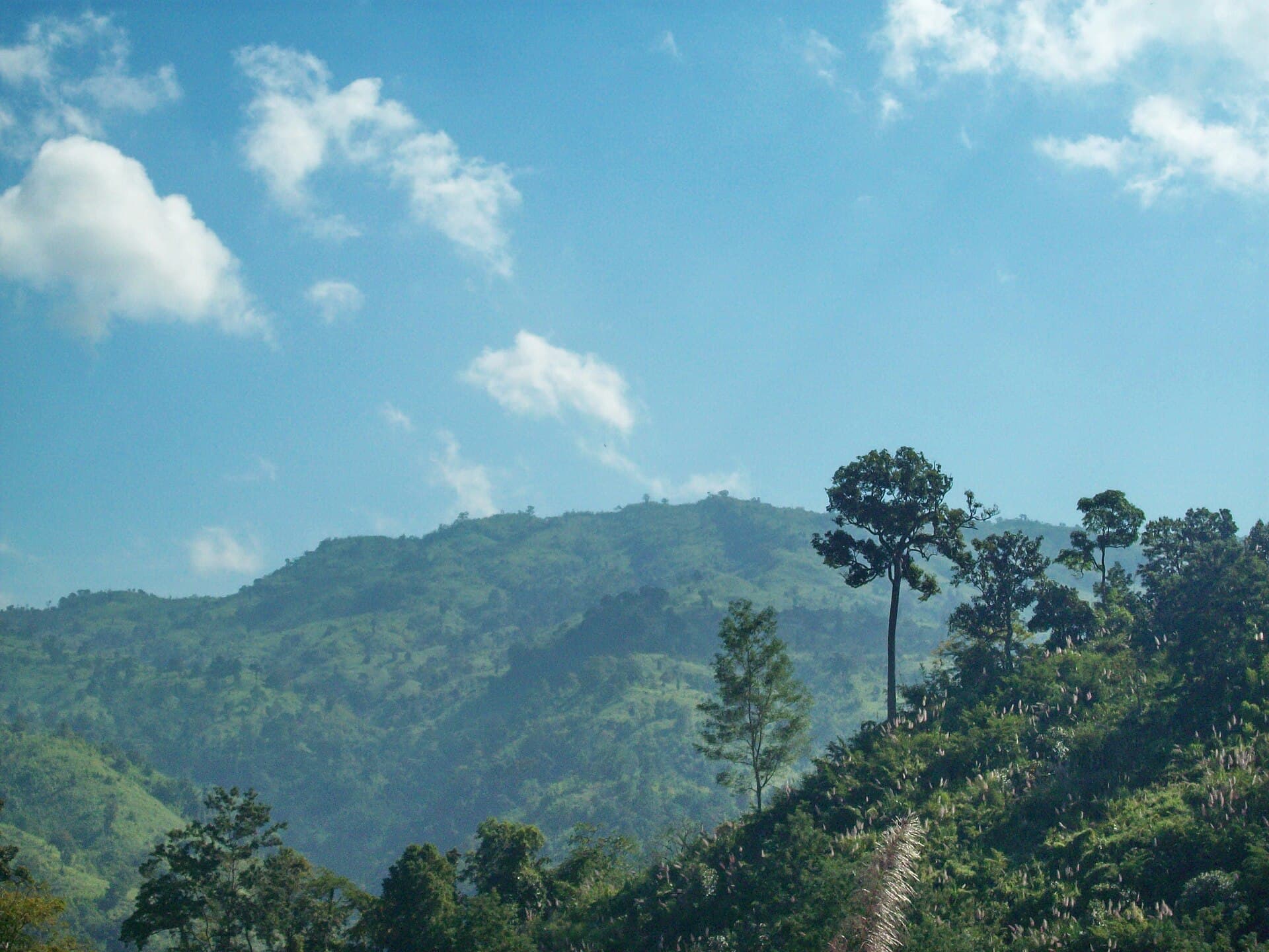 Maithai Jama Haphong: Trekking Bangladesh’s Remote Mountain Summit