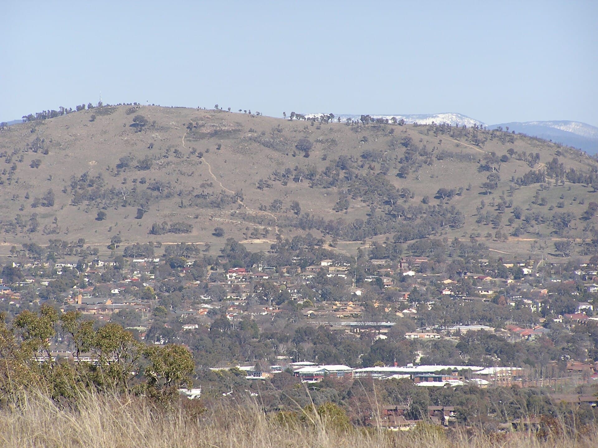 Mount Taylor: Canberra’s Accessible Hilltop Escape