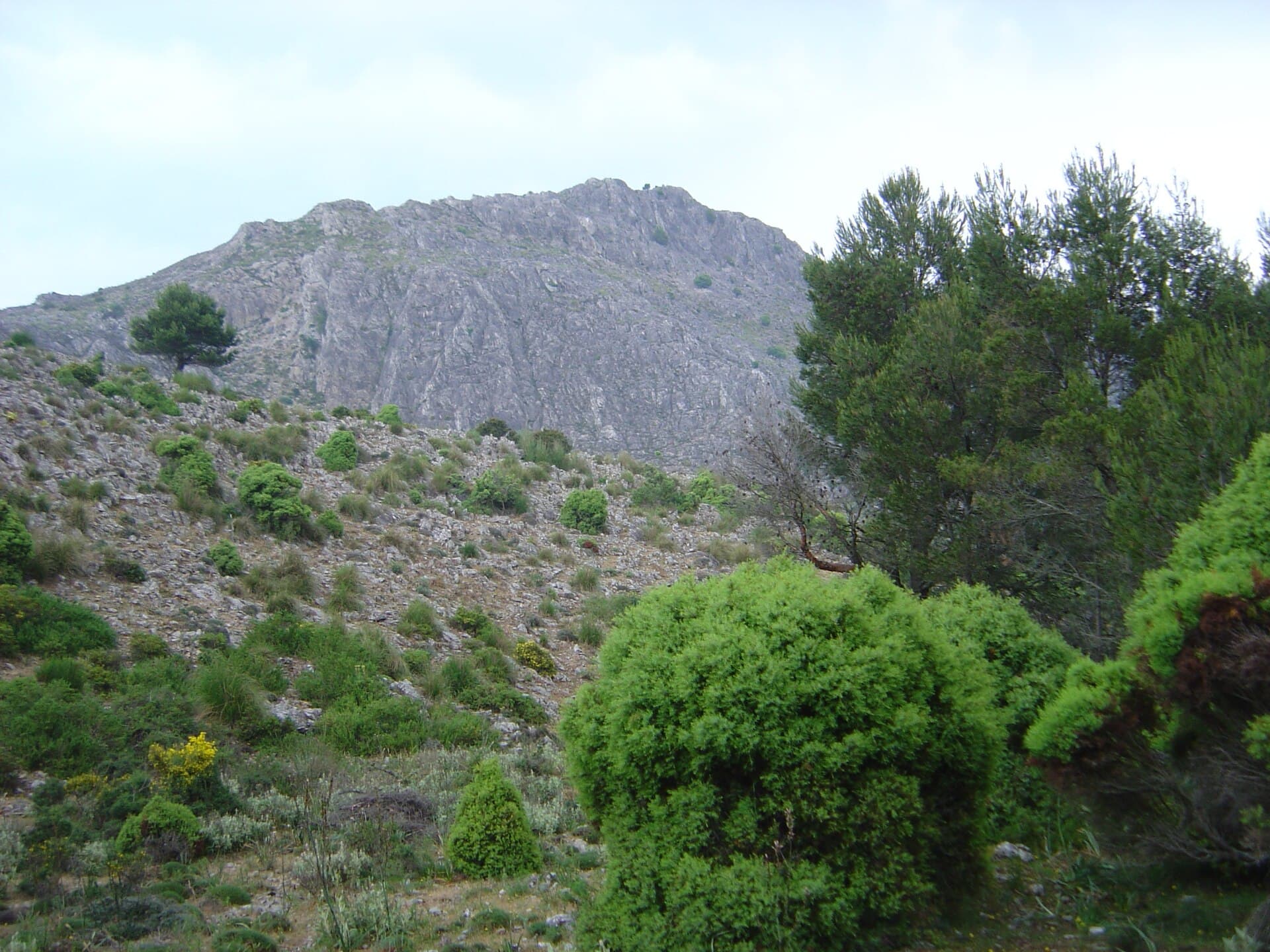 Puig de na Franquesa: Hiking Mallorca’s Quiet Tramuntana Summit