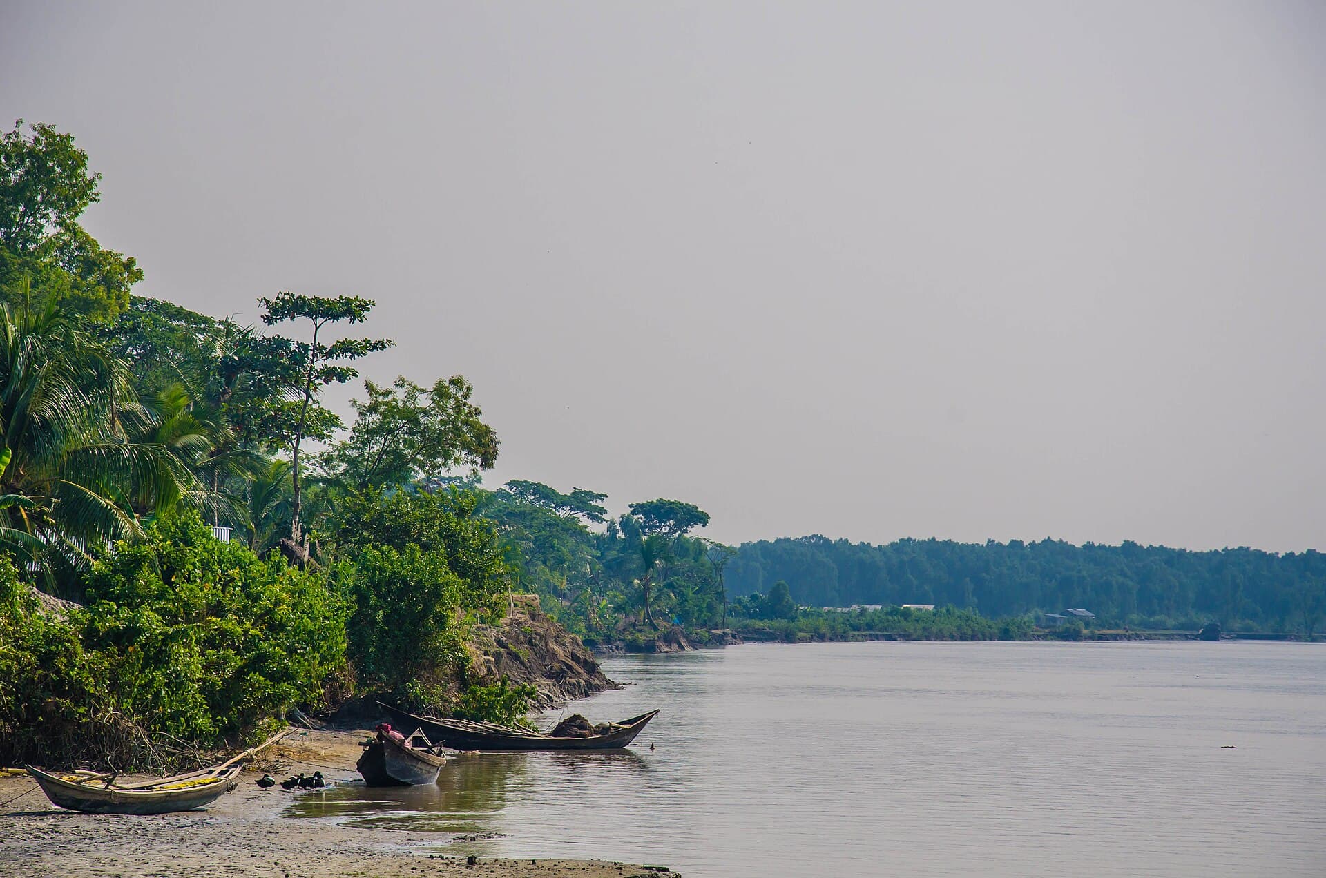 Nijhum Dwip: Bangladesh’s Quiet Island of Deer, Mangroves and Empty Shores
