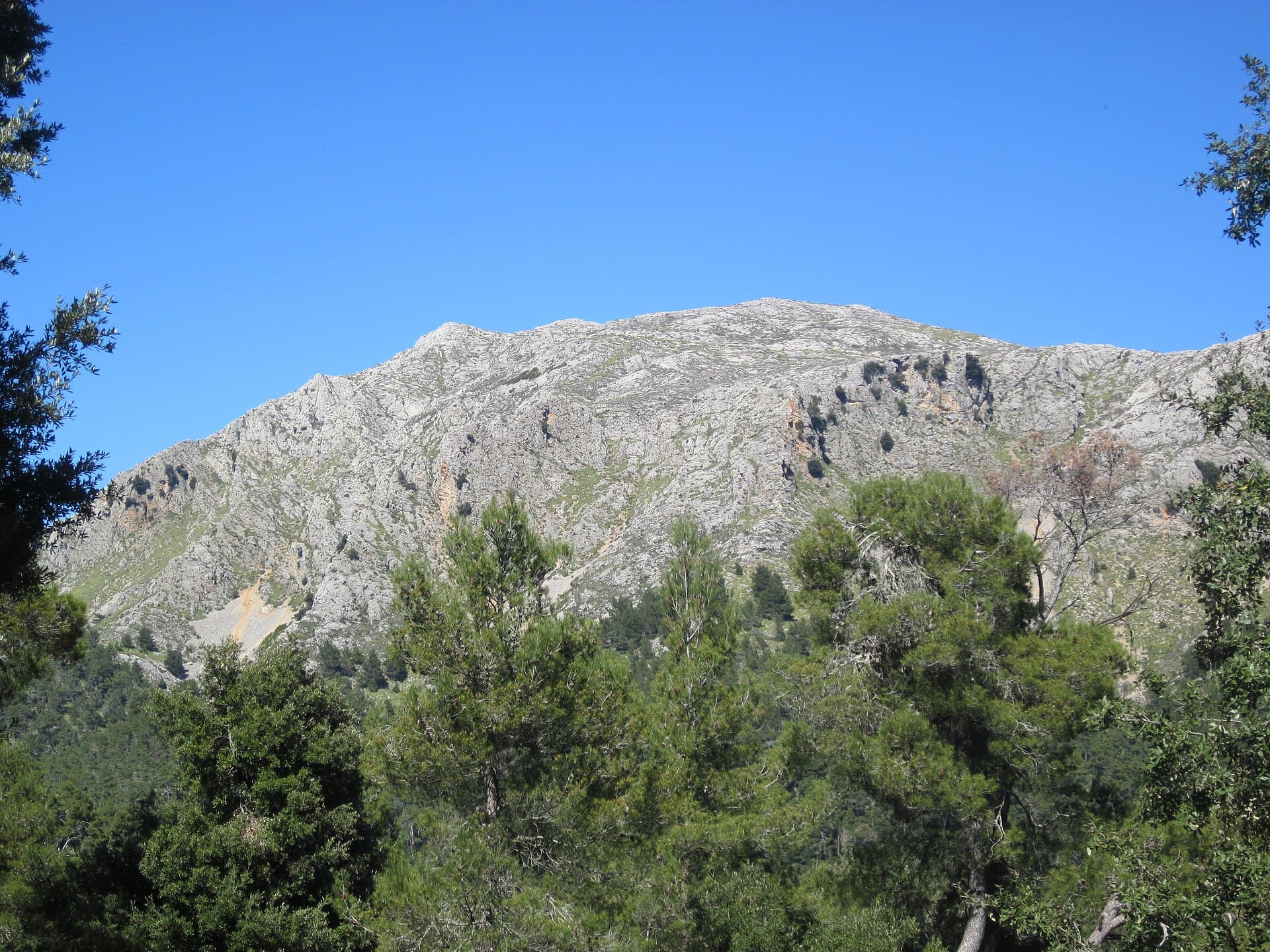 Puig Tomir: Hiking Mallorca’s Wild Tramuntana Summit
