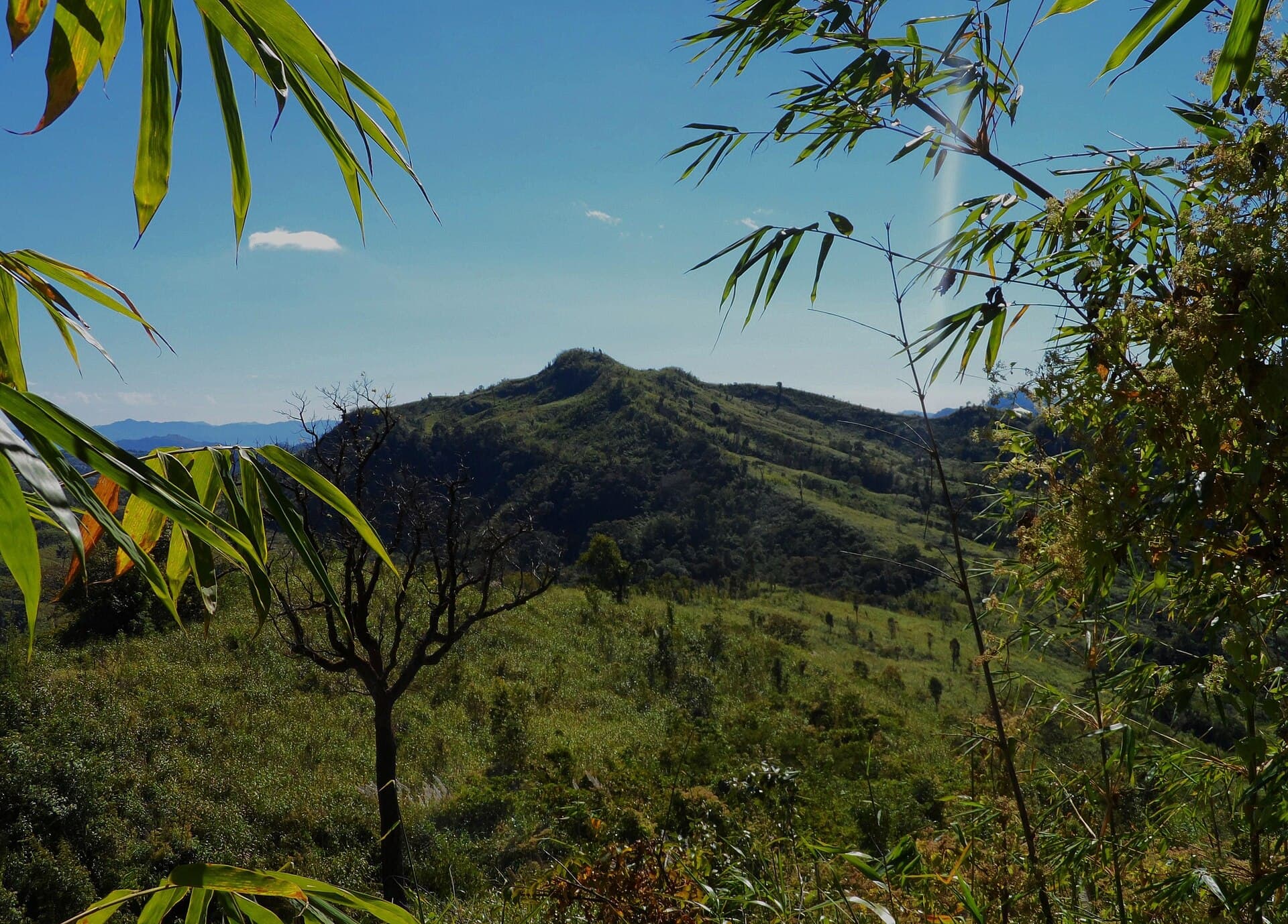 Thingdawl Te Tlang: Hiking the Remote Peaks of Belaichhari Upazila