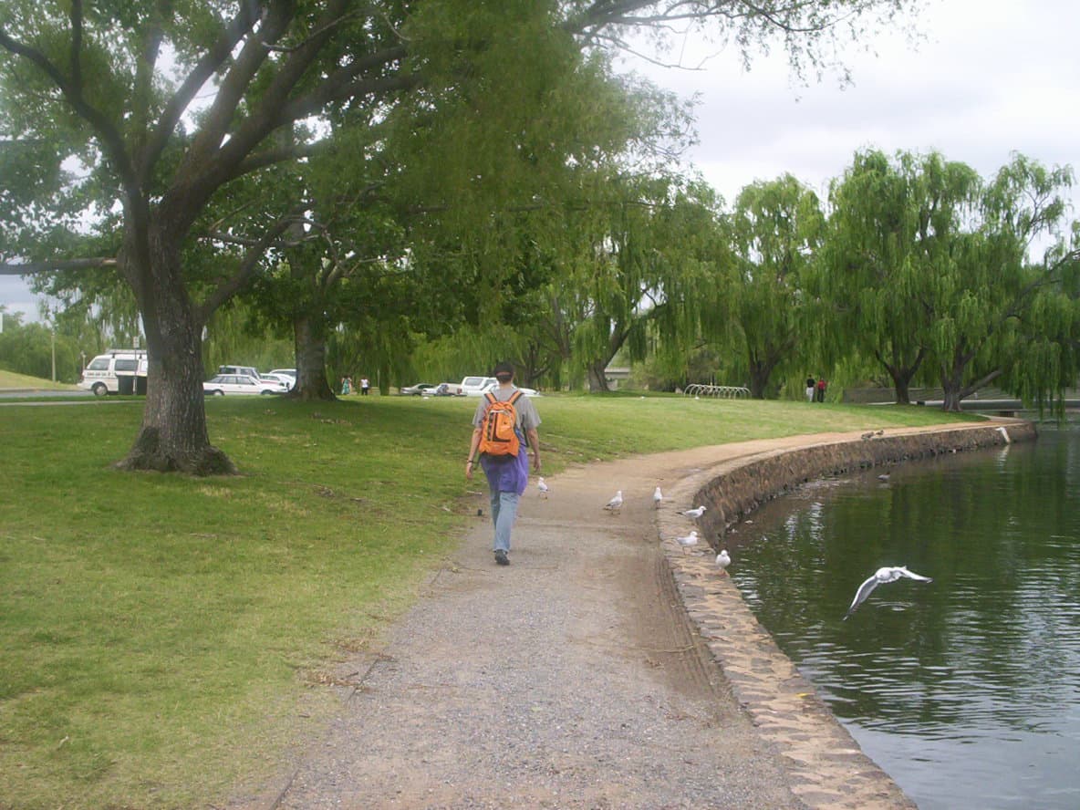 Kings Park: Canberra’s Quiet Green Heart in the Australian Capital Territory