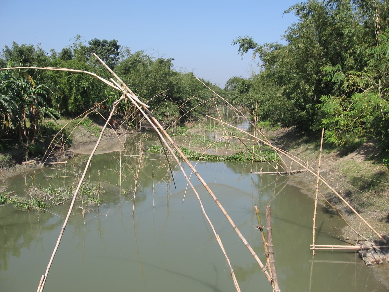 Louhajang River: A Serene Waterway Through Rural Dhaka Division
