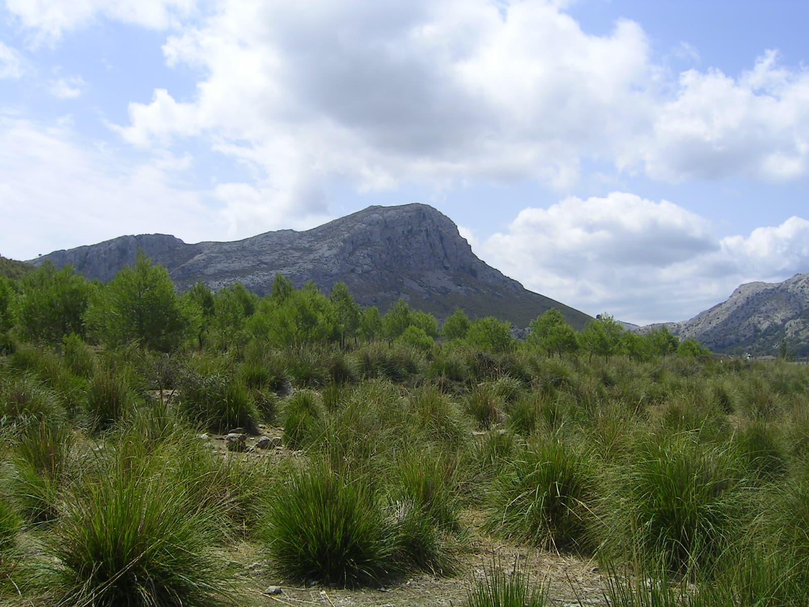 Puig de sa Rateta: Hiking Mallorca’s Quiet Tramuntana Summit