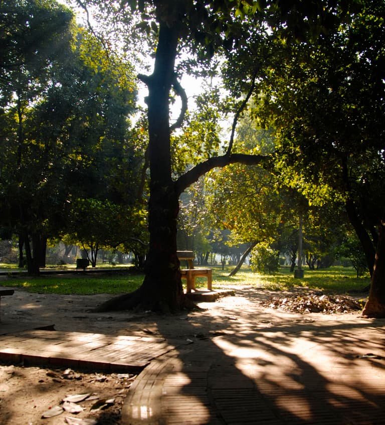 Ramna Park: Dhaka’s Historic Green Retreat