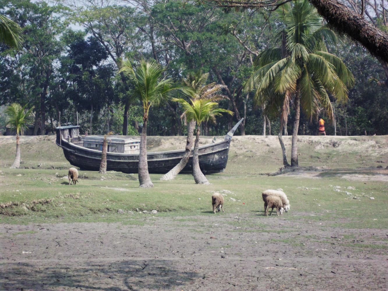 Sandwip Island: Bangladesh’s Serene Bay of Bengal Escape
