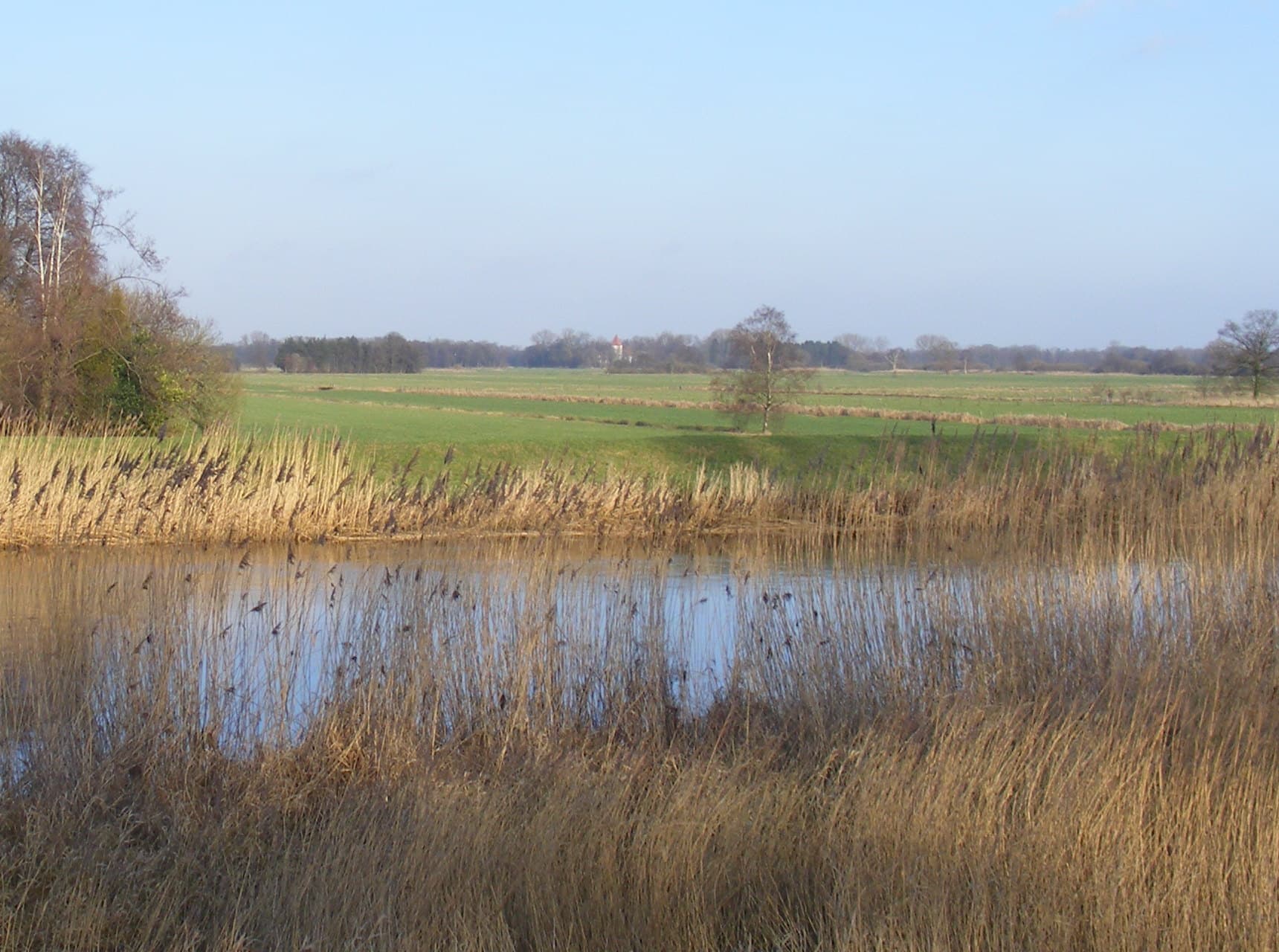 Untere Wümme: A Protected Wetland Sanctuary in Bremen