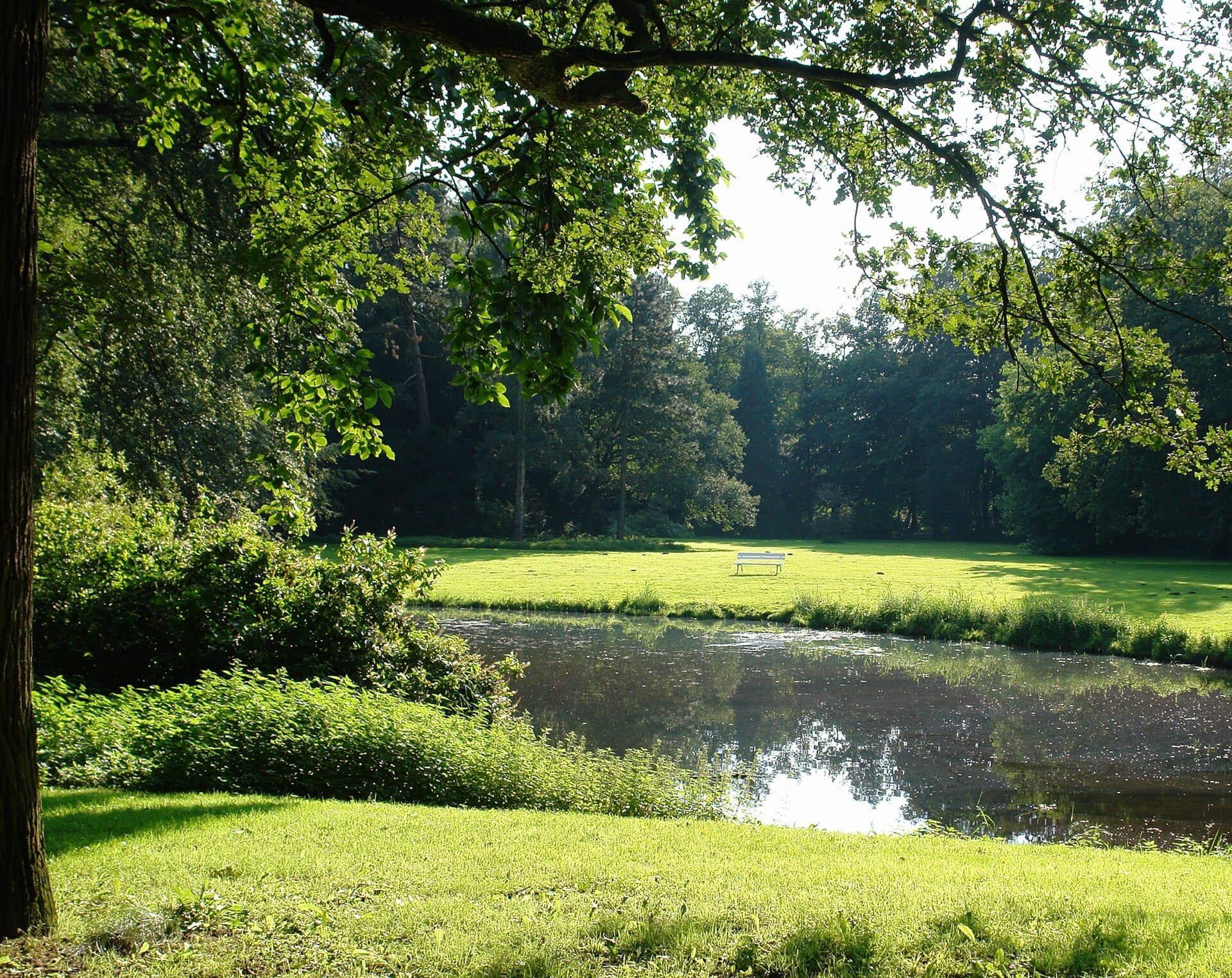 Höpkensruh Park: A Peaceful Green Retreat in Bremen’s Oberneuland