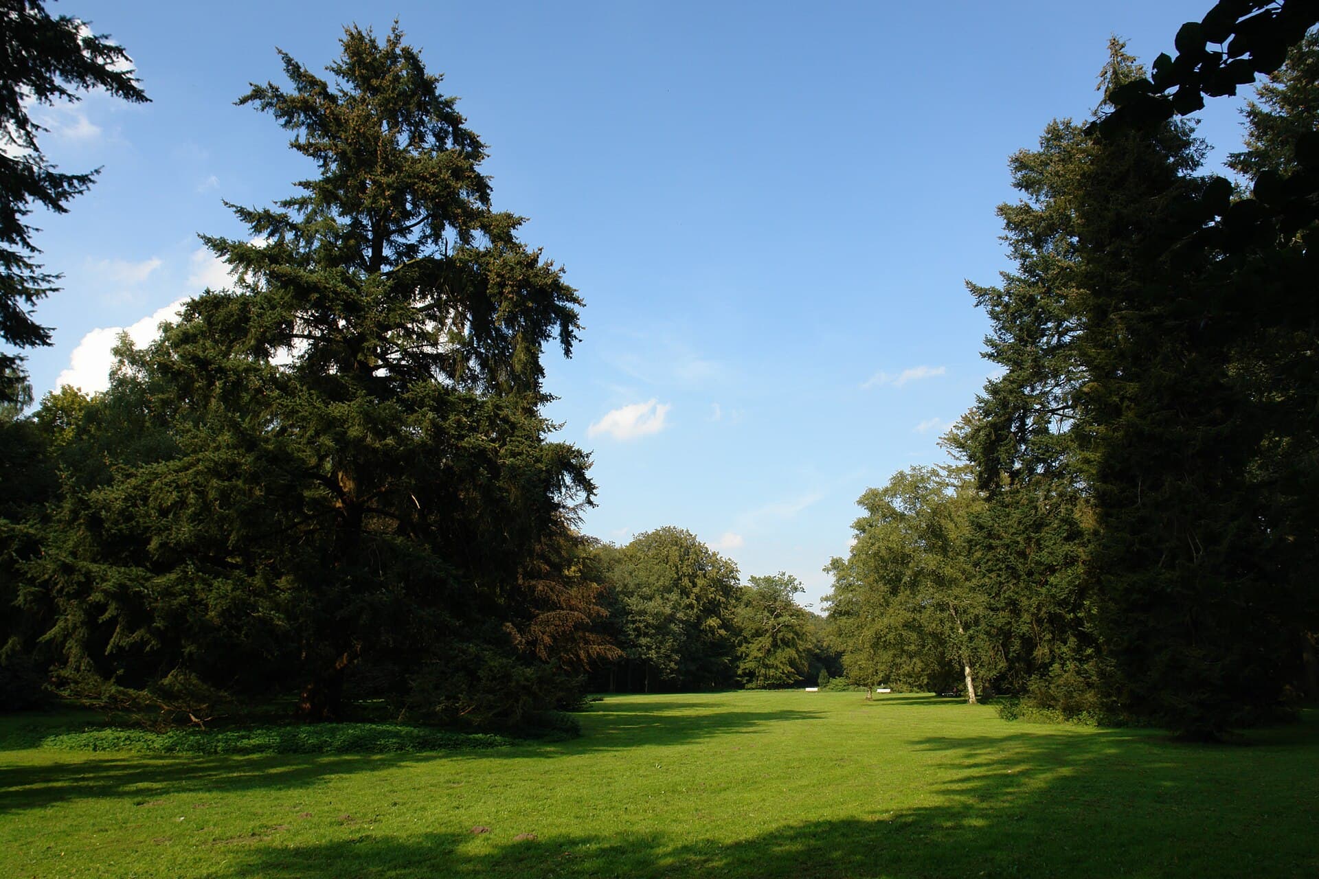 Muhles Park in Oberneuland: Bremen’s Serene Suburban Green Space