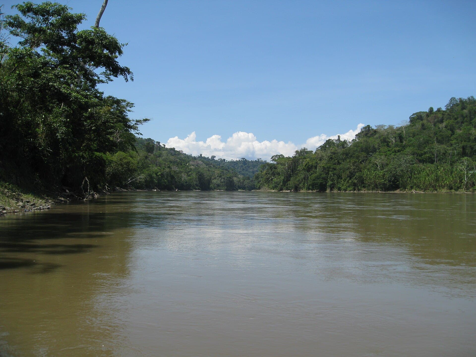 Kaka River: Bolivia’s Wild Waterway in La Paz Department