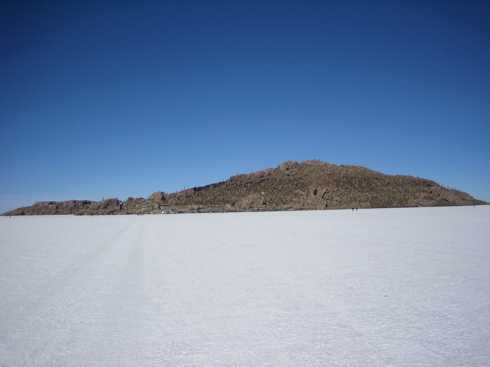 Isla del Pescado: Bolivia’s Cactus-Covered Island in the Salar de Uyuni
