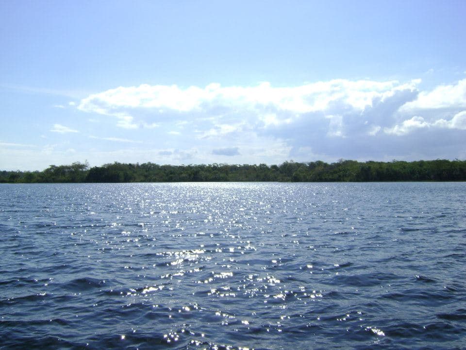 Concepción Lake: Bolivia’s Quiet Lowland Escape in Santa Cruz