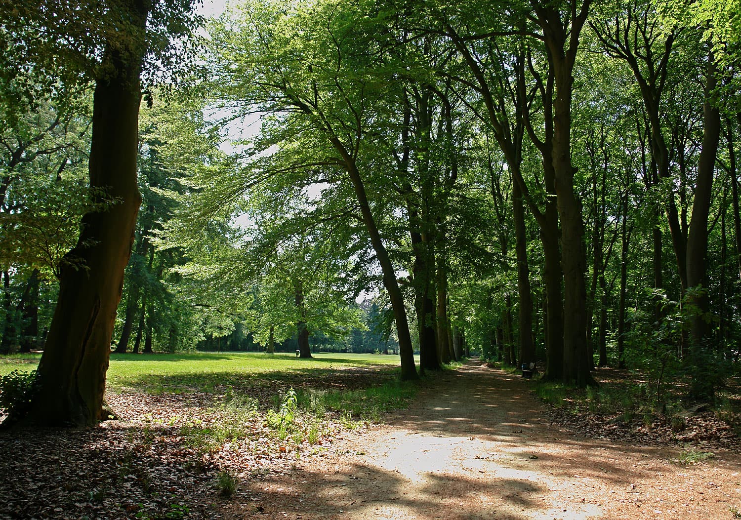 Gutspark: A Historic Park Escape in Osterholz, Bremen